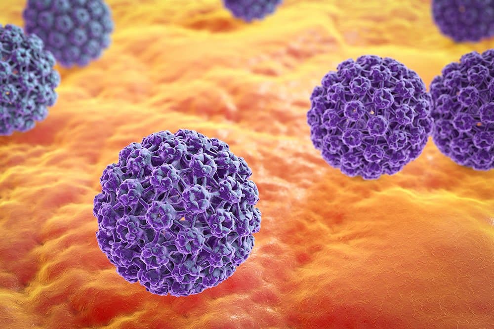 ویروس پاپیلوما (HPV)