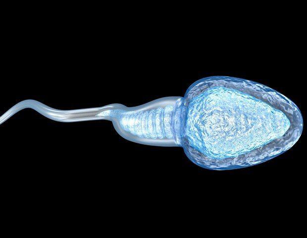 از کروموزوم 11، تولید اسپرم را بلوک می کند و این امر راه را برای پژوهش های بیشتر در این زمینه هموار کرد
