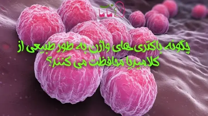 چگونه باکتری های واژن به طور طبیعی از کلامیدیا محافظت می کنند؟