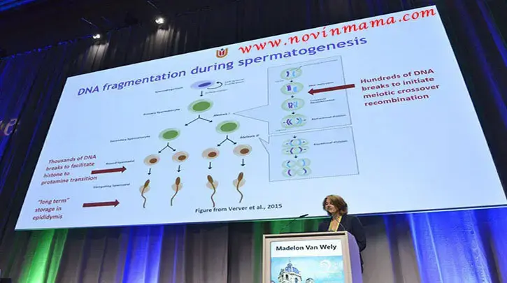 هنوز در مورد  پیش آگهی ارزیابی تست برای آسیب DNA اسپرم احتیاط کنید