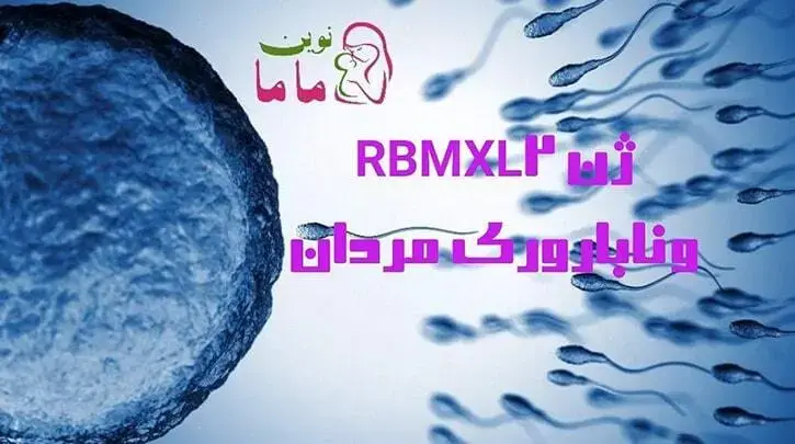 شناخت سر نخ هایی در ناباروری مردان