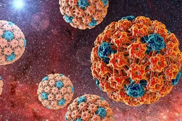 ویروس HPV در مردان 
