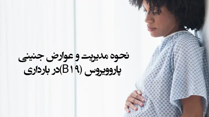 نحوه مدیریت و عوارض جنینی پاروویروس B19 در بارداری
