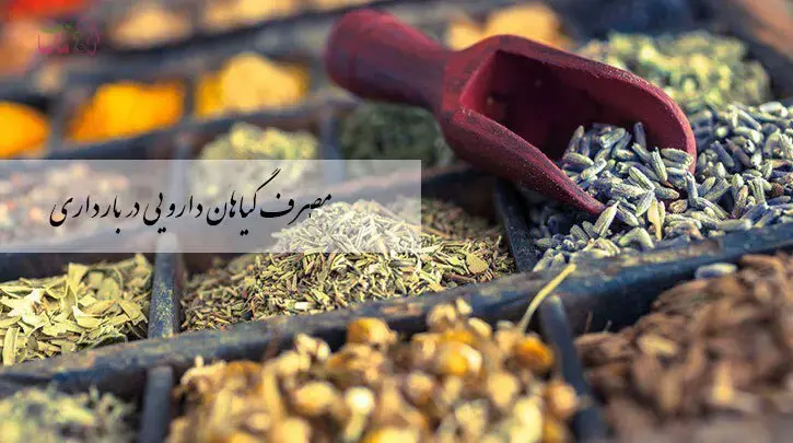 مصرف گیاهان دارویی در بارداری