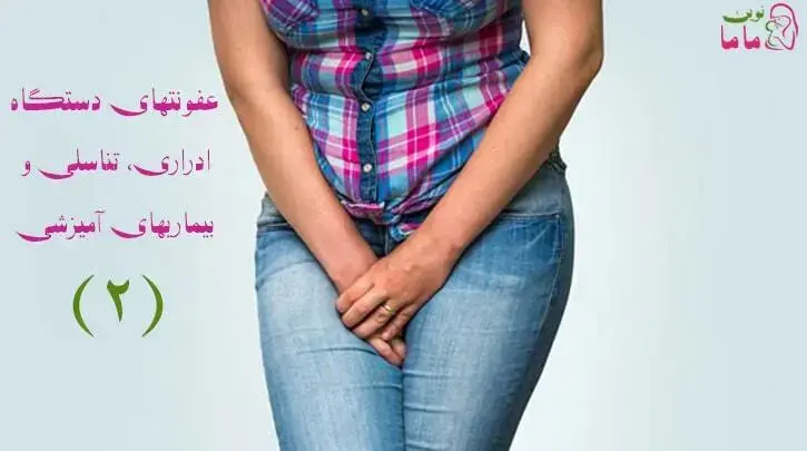 عفونتهای دستگاه ادراری 2