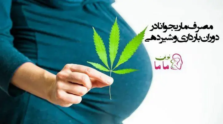 مصرف ماری جوانا در دوران بارداری و شیردهی