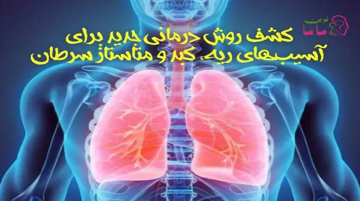 کشف روش های درمانی جدید، برای آسیب های ریه، کبد و متاستاز سرطان