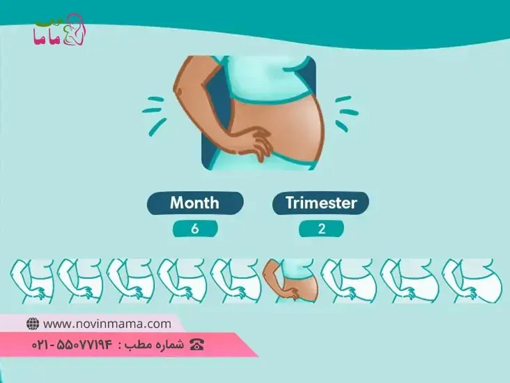 اندازه شکمتان در هفته 25 بارداری اینگونه است.