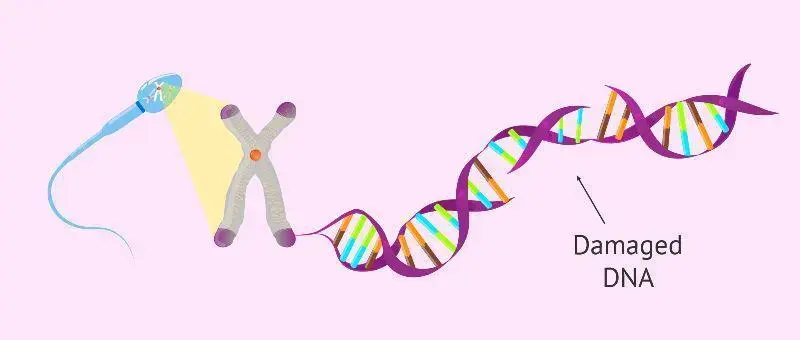 تصویر DNA اسپرم