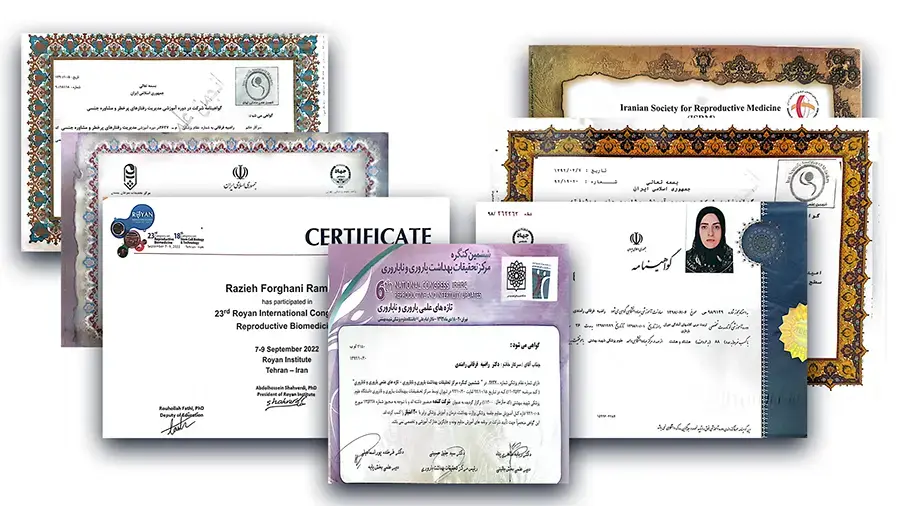 سوابق راضیه فرقانی