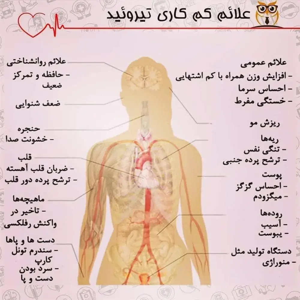 بارداری در زنان مبتلا به هیپوتیروئیدی نیاز به هورمون اضافی تیروئید در ابتدای اولین بارداری به مدت 6 هفته رخ می دهد.