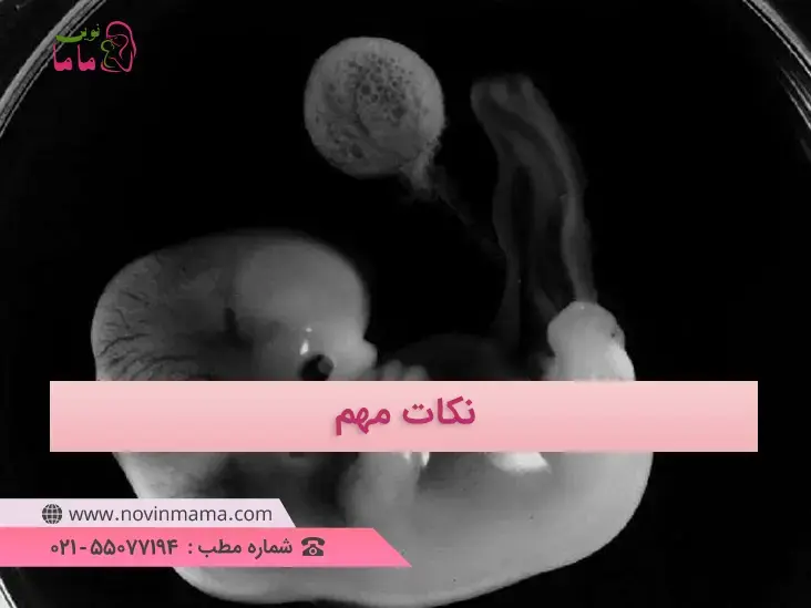 نکات مهم درباره کیسه زرده جنین که بسیار مهم هستند و مربوط به کیسه جنین و پروژسترون و HGC می شوند