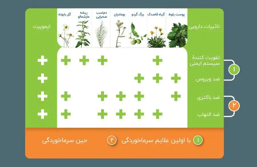 بهترین راه درمان سرماخوردگی